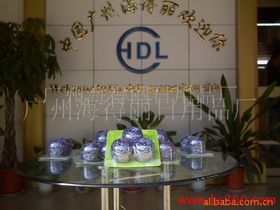 廣州海得麗日用品廠 電子產(chǎn)品業(yè)務(wù)的多元發(fā)展之路